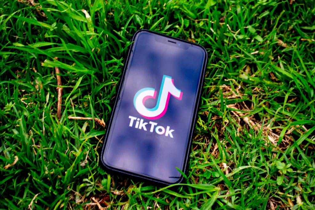 草むら上のスマホ画面に映るTikTokアイコン